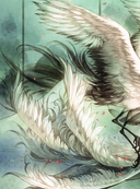 В поисках тени меж цветов — фото, картинка — 11