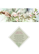 В поисках тени меж цветов — фото, картинка — 6