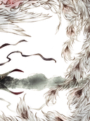 В поисках тени меж цветов — фото, картинка — 8