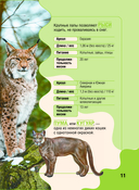 Животные — фото, картинка — 11