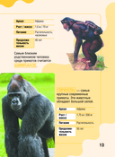 Животные — фото, картинка — 13