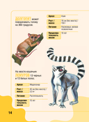 Животные — фото, картинка — 14