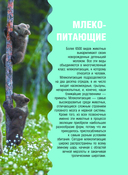 Животные — фото, картинка — 7