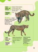 Животные — фото, картинка — 9