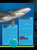 Невероятные акулы — фото, картинка — 11