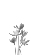 Из Лондона с любовью. Назад к тебе. Комплект из 2 книг — фото, картинка — 1