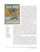 Кит. Культурная история — фото, картинка — 13