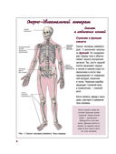 Атлас анатомии человека — фото, картинка — 3