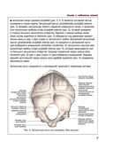 Атлас анатомии человека — фото, картинка — 10