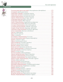 Русский травник — фото, картинка — 4