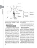 Доказательная гастроэнтерология: новые тренды, чекапы и протоколы — фото, картинка — 11