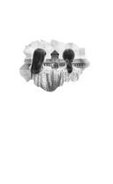 Близнецы из Аушвица. Мне приснилась война — фото, картинка — 2