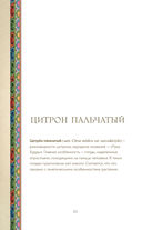 Тайны цветов. Мифы, сказки, легенды — фото, картинка — 20