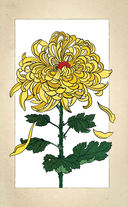 Тайны цветов. Мифы, сказки, легенды — фото, картинка — 25