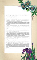 Тайны цветов. Мифы, сказки, легенды — фото, картинка — 7