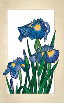 Тайны цветов. Мифы, сказки, легенды — фото, картинка — 9