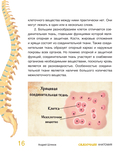 Сказочная анатомия — фото, картинка — 14