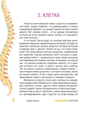 Сказочная анатомия — фото, картинка — 6