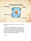 Сказочная анатомия — фото, картинка — 7