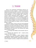 Сказочная анатомия — фото, картинка — 9