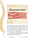 Сказочная анатомия — фото, картинка — 10