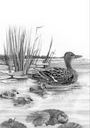 Мир волшебных сказок — фото, картинка — 4