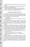 Золотые земли. Сокол и Ворон — фото, картинка — 28