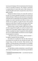 El coronel no tiene quien le escriba — фото, картинка — 4