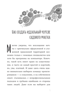 Планирование участка. От определения границ до детального проекта — фото, картинка — 4