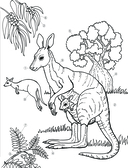 Животные — фото, картинка — 5