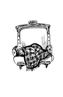 Тело: у каждого своё — фото, картинка — 10