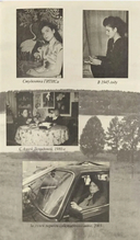 Как я стала киноведом — фото, картинка — 2