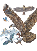 Любимые сказки и рассказы — фото, картинка — 15