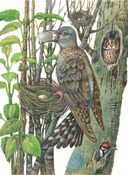 Любимые сказки и рассказы — фото, картинка — 9