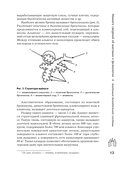 Бронхиальная астма. Признаки, диагностика и методы лечения — фото, картинка — 12