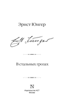 В стальных грозах — фото, картинка — 7