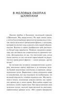 В стальных грозах — фото, картинка — 10