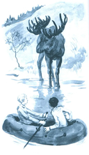 Смотри страху в глаза — фото, картинка — 1