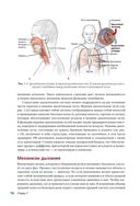 Анатомия пилатеса — фото, картинка — 12