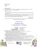 Книжная фея в королевстве Чтенция — фото, картинка — 10