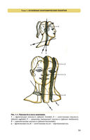 Атлас анатомии человека — фото, картинка — 11
