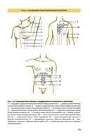 Атлас анатомии человека — фото, картинка — 13