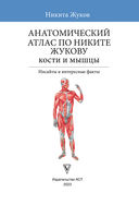 Популярный анатомический атлас по Никите Жукову: кости и мышцы. Инсайты и интересные факты — фото, картинка — 1