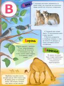 Азбука-энциклопедия интересных фактов о животном мире — фото, картинка — 2