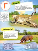 Азбука-энциклопедия интересных фактов о животном мире — фото, картинка — 3