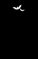 Мирелла Мануш. Помогите, мой кот разговаривает! — фото, картинка — 1