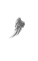 Песнь сердца и пепла — фото, картинка — 1