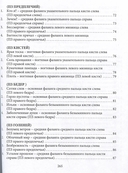 Ребро Адама. Пряные письмена памяти пяти Платоновых пространств — фото, картинка — 4