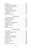 Элегантность ежика — фото, картинка — 26