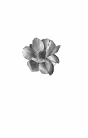 Доктор Грант — фото, картинка — 8